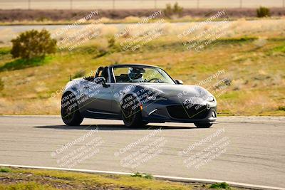 media/Feb-17-2024-Extreme Speed (Sat) [[f2f02d613c]]/Green Group/Session 3 (Turn 4)/